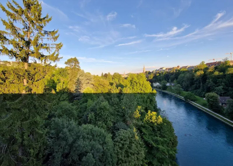 Botanical Garden of University of Bern, Bern, Switzerland, Switzerland